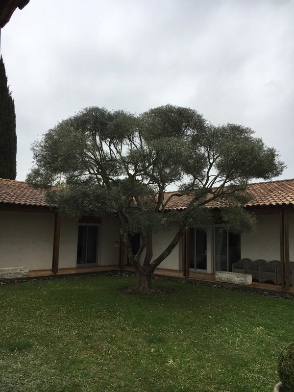 Entretien du jardin par un jardinier à Frouzins