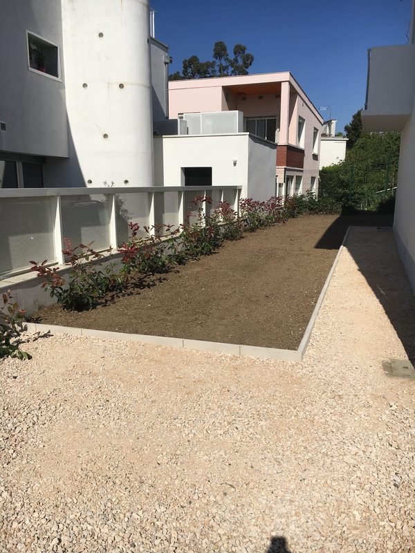 Création de massif fleuri pour entreprise Colomiers